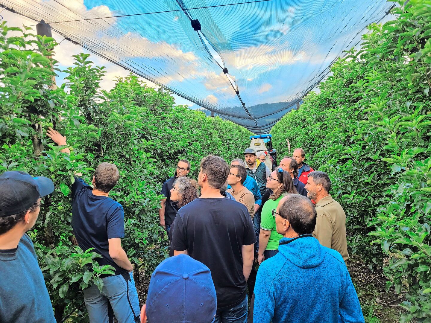 Die Teilnehmenden begutachten die Anlagerung der ungiftigen Test-Spritzbrühe auf den Blättern in der Obstanlage in Hitzkirch.