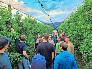 Die Teilnehmenden begutachten die Anlagerung der ungiftigen Test-Spritzbrühe auf den Blättern in der Obstanlage in Hitzkirch.