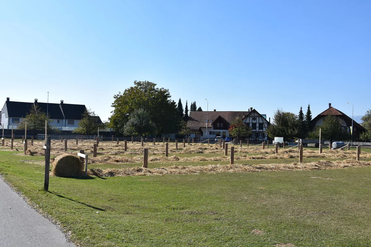 0d5cbf645483c393750b8afc886ffe3831e8a855 Der Schauplatz auf dem Seelandhof in Worben BE steht noch leer. Morgen Samstag werden zirka 200 Kühe darauf stehen.