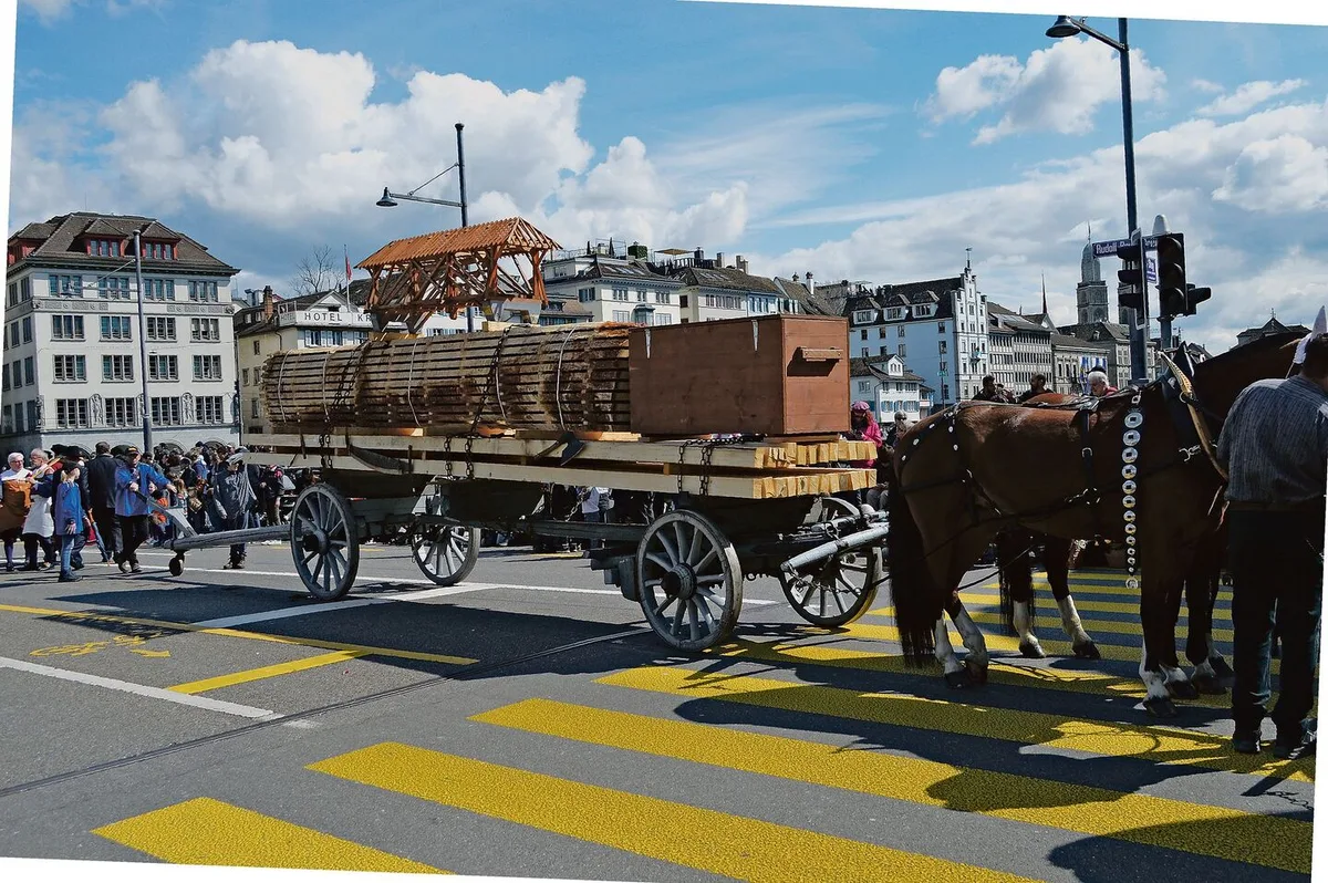 5ce7d45772b7d1cd26a4816b90f52c42a674ba7e9c5f58c92d2f6d3a834ca465 Der Langholztransport der Zunft zur Zimmerleuten muss vom Boden aus bedient werden. Es gibt keinen Bock, auf dem der Fuhrmann Platz nehmen kann. Während Willy Birrer die Stangenpferde führte, nahm seine Frau Martina die vorderen Pferde ans Leitseil.