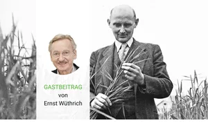 Friedrich Traugott Wahlen war Professor für Landwirtschaft an der ETH Zürich, Politiker und Bundesrat. Er gilt als Vater der Anbauschlacht während des Zweiten Weltkrieges.
