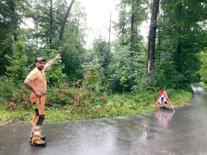 Hanspeter Kretz weist auf Gefahren entlang von Wegen im Wald hin: Er zeigt auf eine schräg stehende kleine Buche und eine geschwächte grosse Buche.
