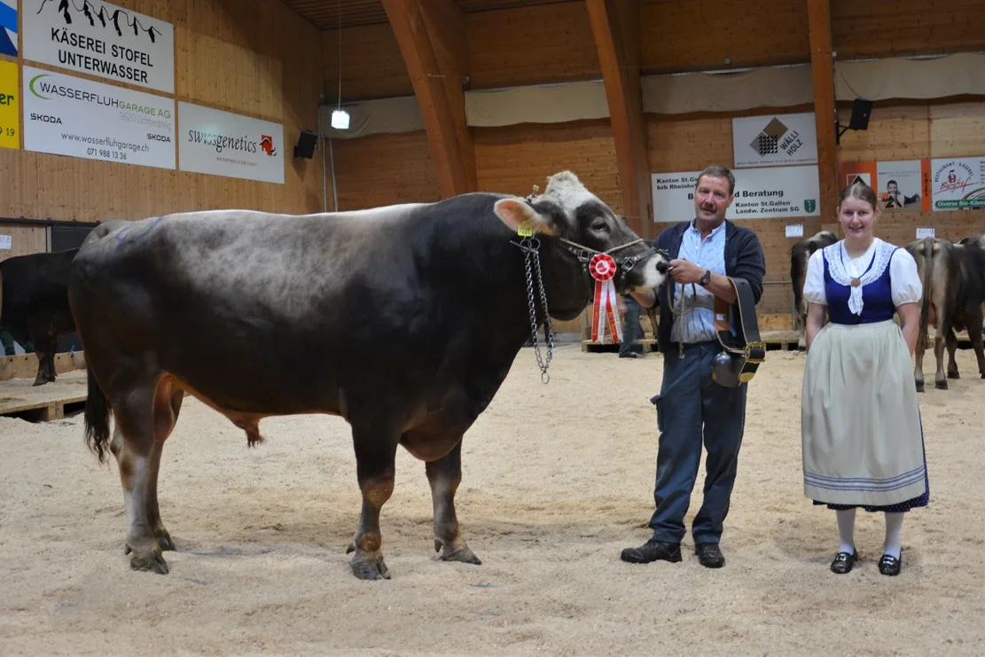DSC_2053 Stier Einar siegte in Wattwil schon zum fünften Mal