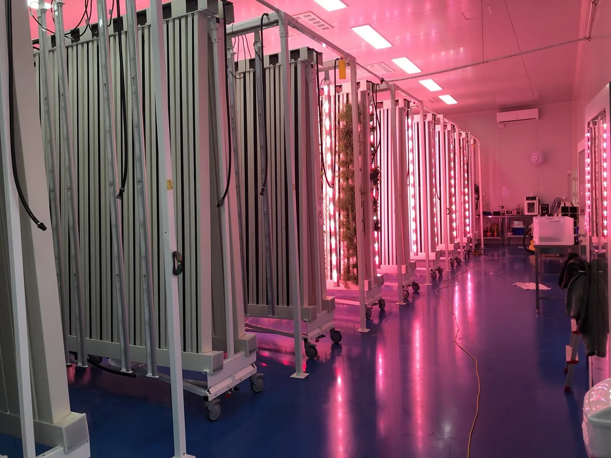 Vertical_Farming Agroscope muss sparen: Bei diesen Forschungsthemen wird reduziert