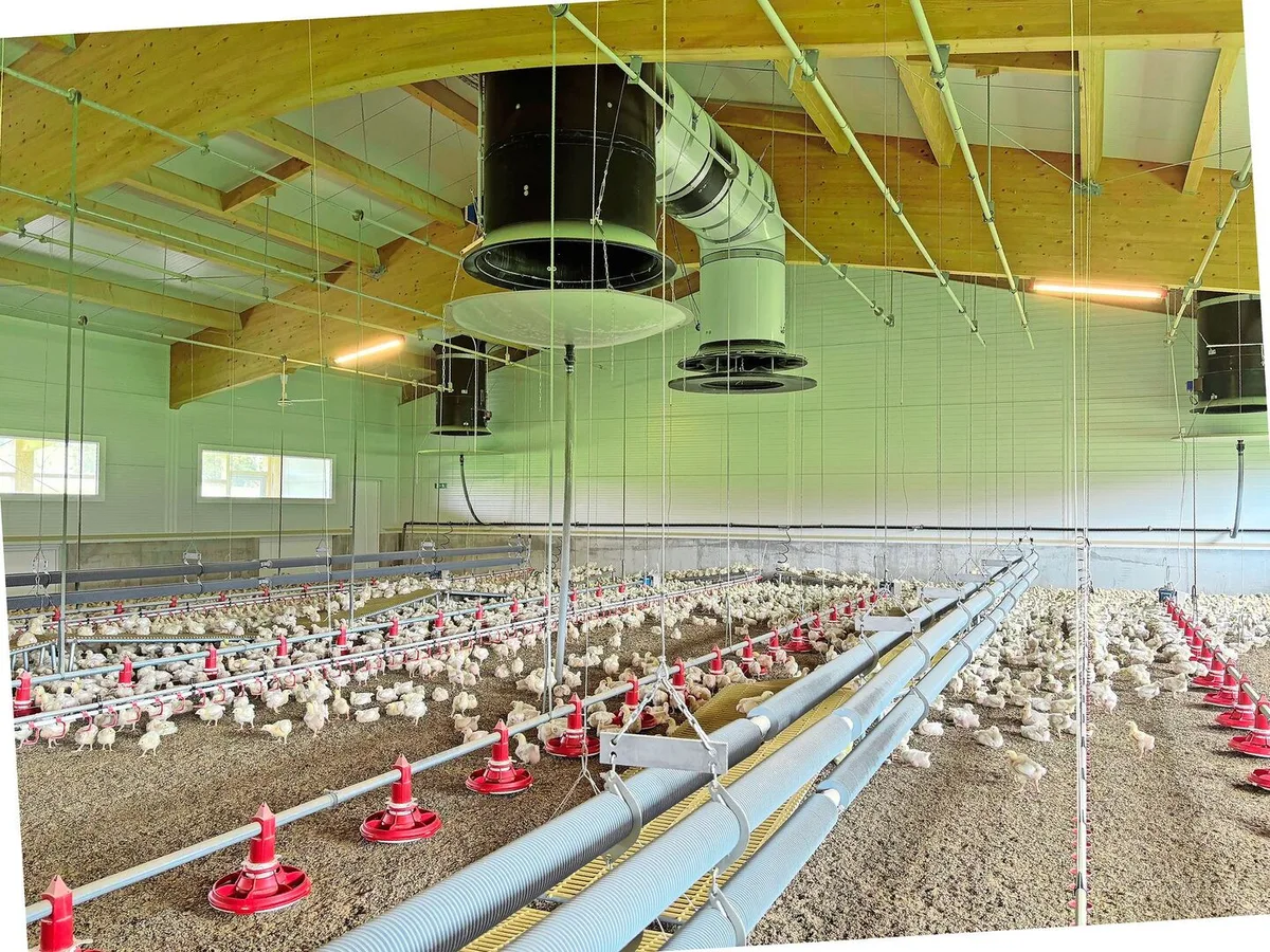 Ein Pouletmaststall ganz ohne fossile Brennstoffe