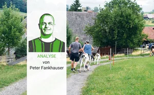 Heute besteht die Gefahr, dass es durch den Einsatz von X-Dosen zu viele Nutztiere auf dem Markt haben wird. Es braucht die richtige Balance, findet Redaktor Peter Fankhauser.
