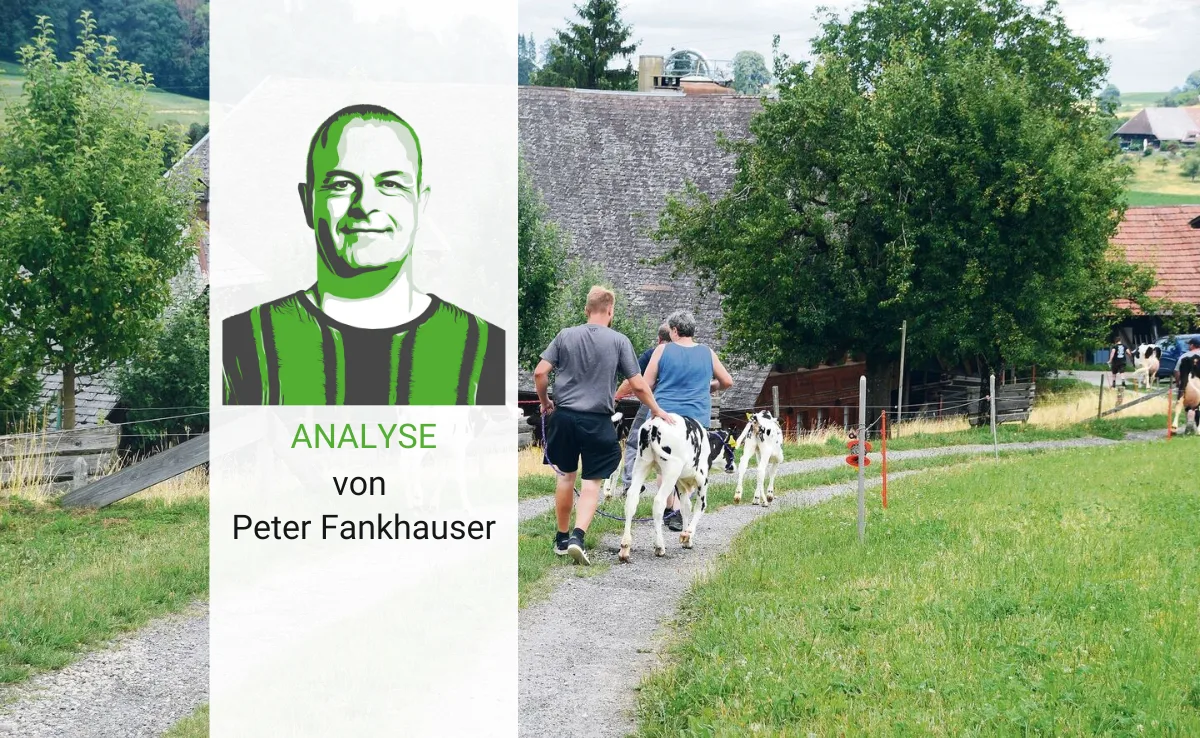 Artikel_Analyse_BauZ_Fankhauser Gesexte Samendosen – zu viele Rinder drücken den Preis