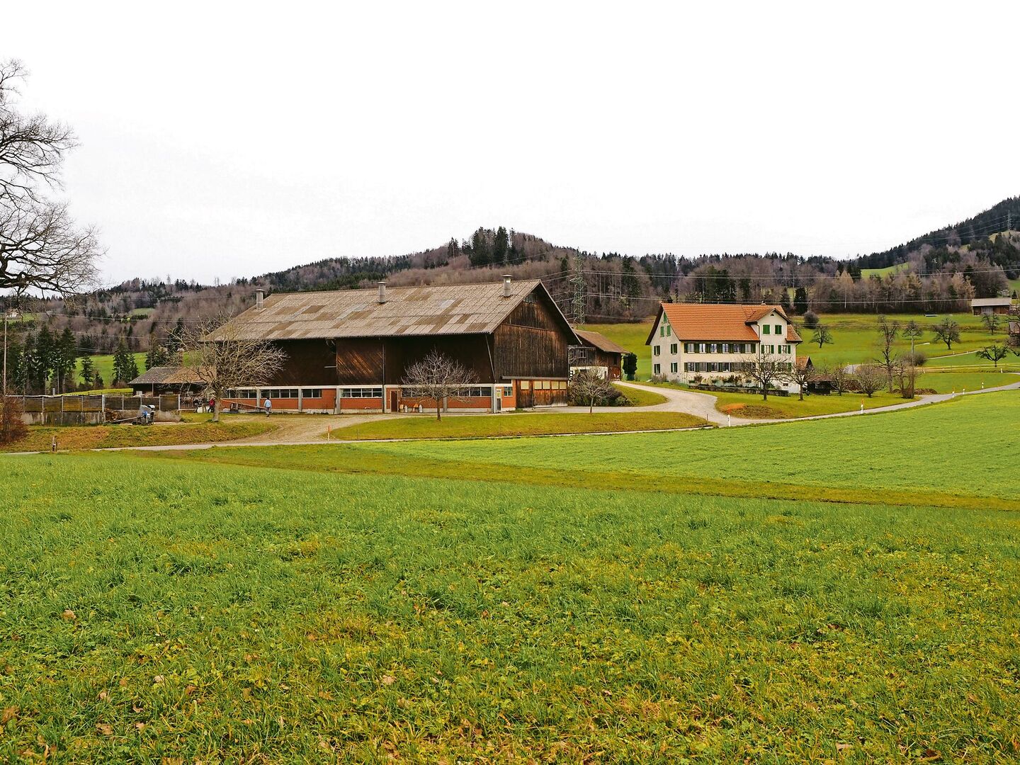 Kontinuität statt Auflösung jahrzehntelager Arbeit in Nichts: Landwirtschaftsbetriebe können durch die ausserfamiliäre Nachfolge intakt bleiben.