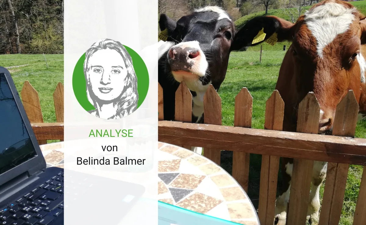 Artikel_Analyse_BauZ Internet für alle, aber bitte auf dem Land nicht teurer