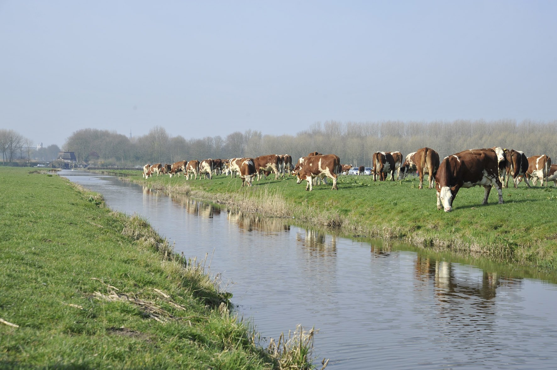 Die EU (hier ein Bild aus Holland) will zusätzlich zum Käse weitere Bereiche öffnen für Freihandel mit der Schweiz. (Bild lid)