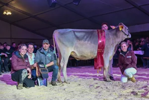 Feldli's Bormio Berta von Jungzüchter Andreas Reinhard wurde zur Brown Swiss Rinderchampion gekürt.