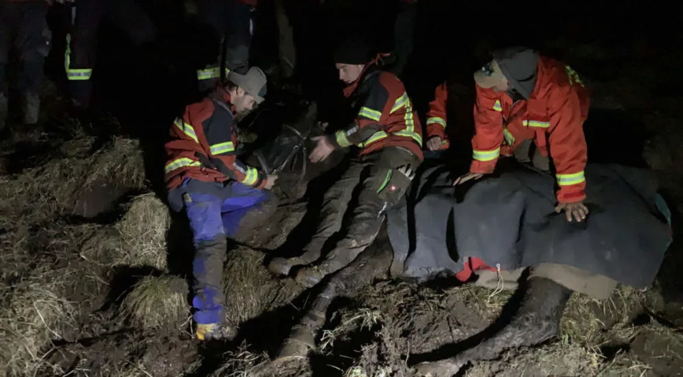 rega-einsatz-fuer-pferd-in-not-995×550 Rega rettet in Morast eingesunkenes Pferd