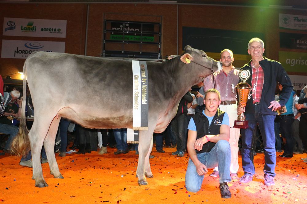 Pauer Giubiasca aus dem Stall von Hans Keller aus Schönholzerswilen TG wurde zur Champion gewählt. (Bild zVg)