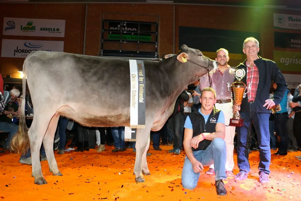 Pauer Giubiasca aus dem Stall von Hans Keller aus Schönholzerswilen TG wurde zur Champion gewählt. (Bild zVg)