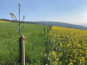 Wohin des Weges? FiBL-ForscherInnen arbeiten eng mit den ProduzentInnen zusammen und untersuchen innovative Formen der Landwirtschaft.