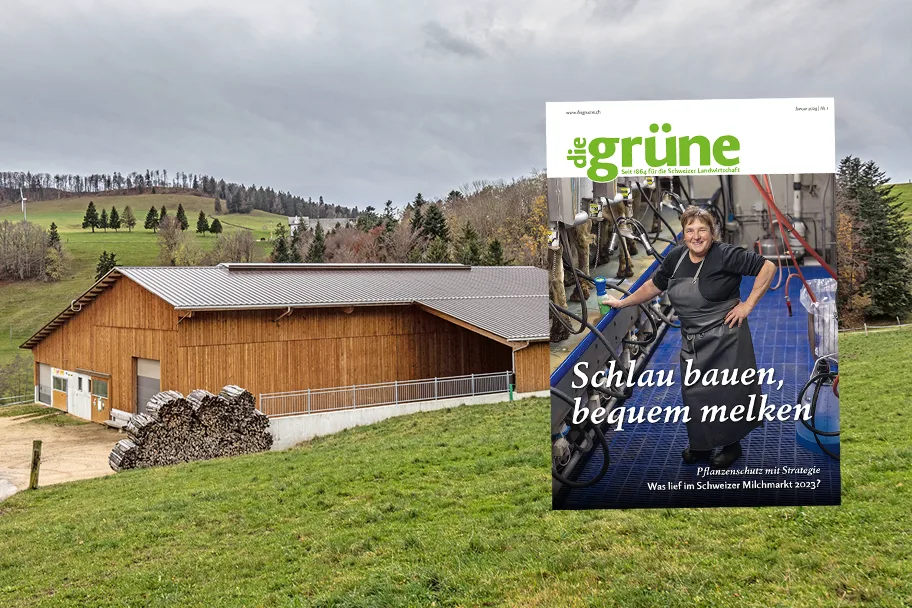 DG_24_01_3zu2_Titelbild «die grüne» im Januar 2024 – Schlau bauen, bequem melken