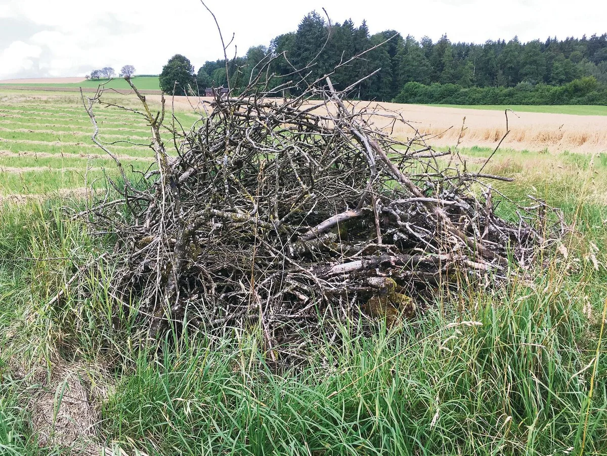 Ein Asthaufen für Kleinsäugetiere und Insekten gilt als Kleinstruktur.