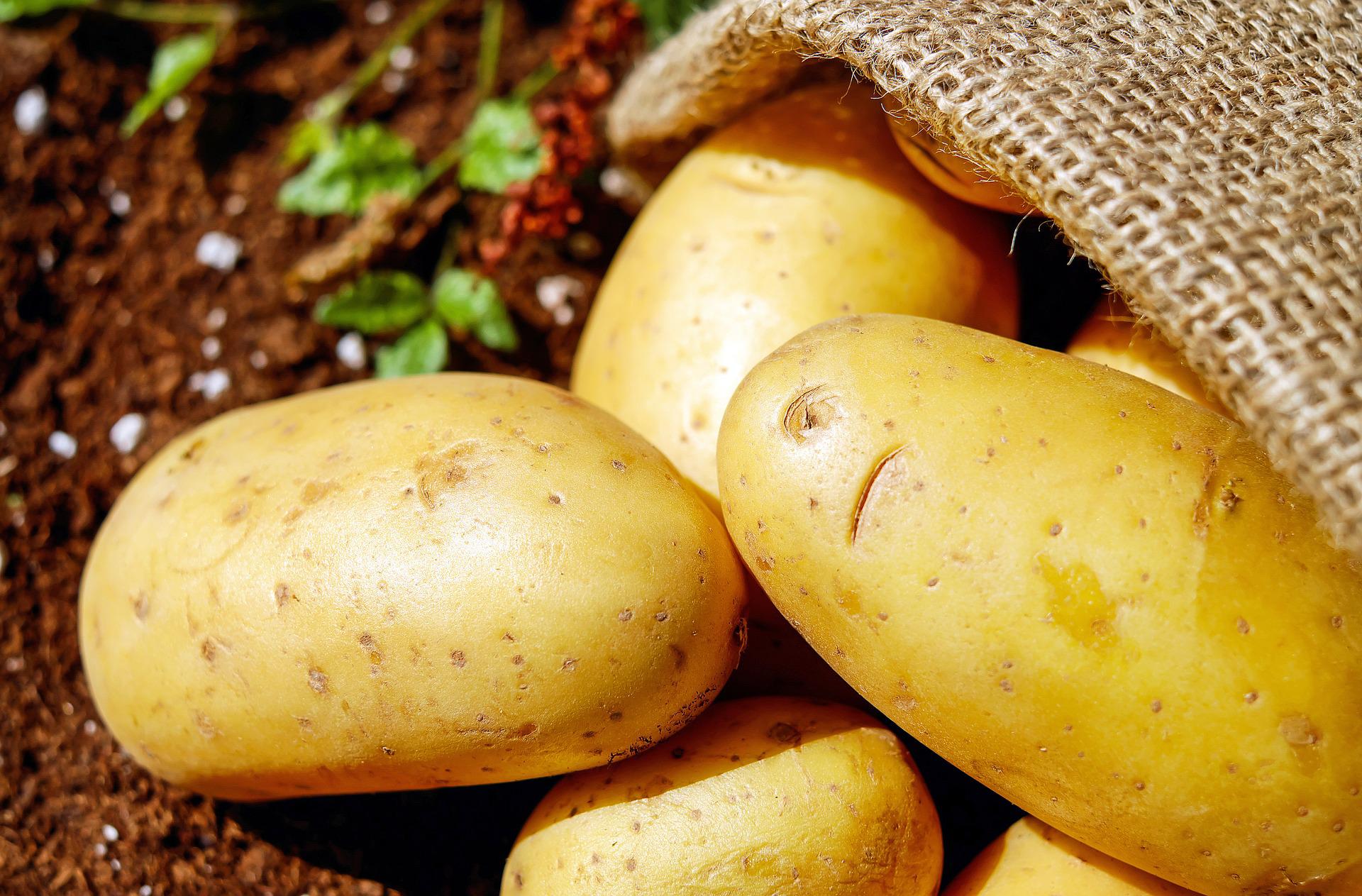Die Preise für die Frühkartoffeln wurden noch einmal angepasst