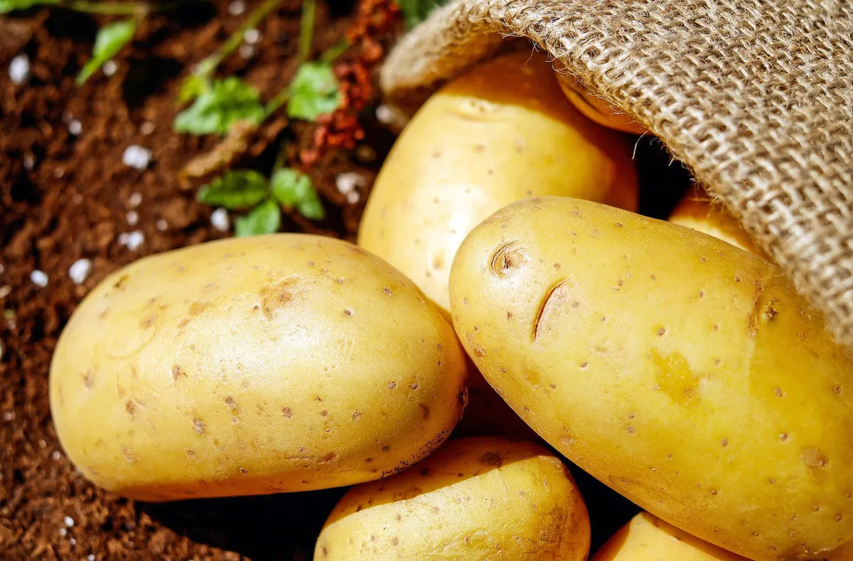 potatoes-ge63a746aa_1920 Die Preise für die Frühkartoffeln wurden noch einmal angepasst