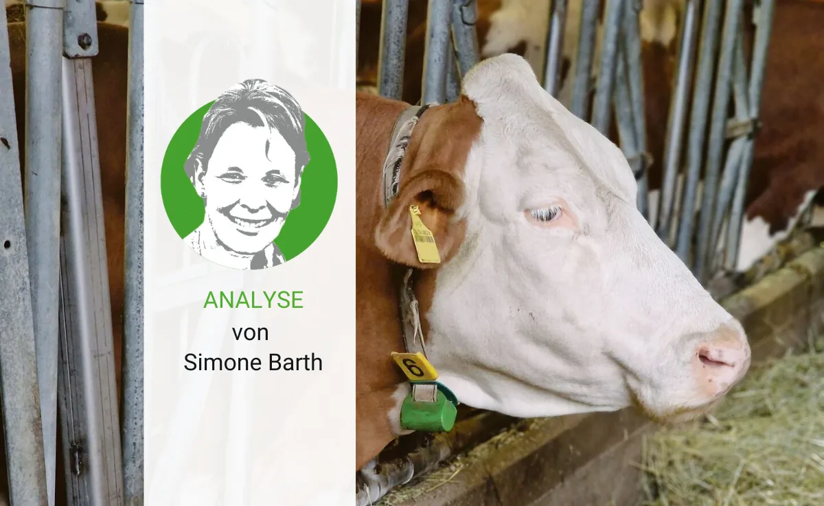 analyse-barth-46 Die Drei-Generationen-Regel lässt den Klon im Pedigree bald einmal verschwinden