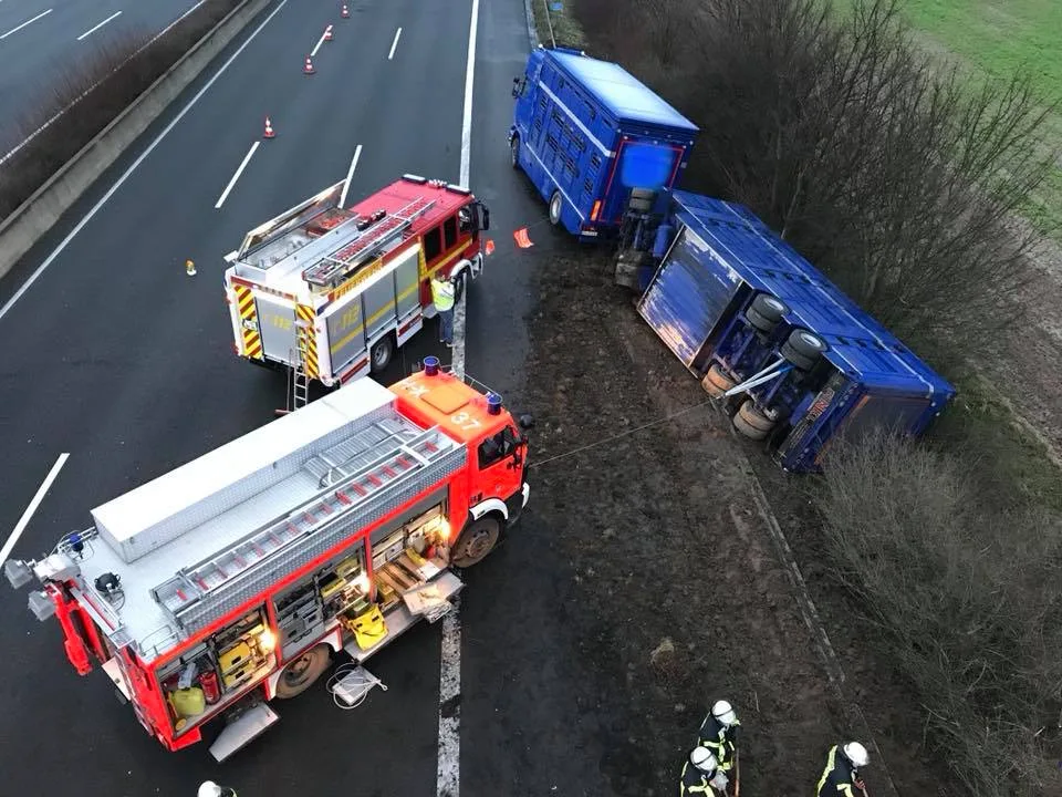 abd1eb7b27f5a2e5a8dd64d7876cc88e1cf86221 Die Feuerwehr sicherte den umgekippten Viehtransporter. (Bilder Feuerwehr Wunstorf/Facebook)