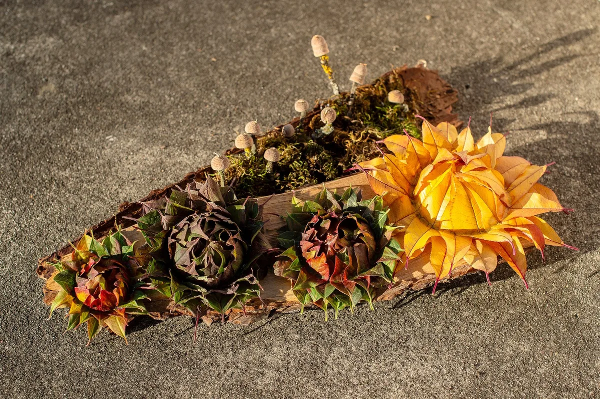 _AMM6320_01 So lassen sich herbstliche Blüten aus bunten Blättern basteln