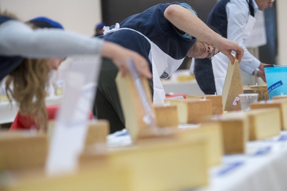Ein Alpabzug, Eringerkühe und Spitzenkäse erwarten Sie an den Swiss Cheese Awards 2022