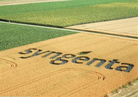 Syngenta war im Sommer 2017 für 43 Milliarden Dollar vom chinesischen Staatskonzern ChemChina gekauft worden. (Bild pd)