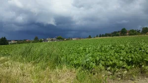 Die Gewitterwolken im Zuckerrübenanbau sollen bald der Vergangenheit angehören, ist SVZ-Präsident Josef Meyer überzeugt.