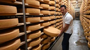 Alain Jungo ist mit Leib und Seele Käser. Stolz präsentiert er die Käselaibe in seinem Sandstein-Käsekeller. Dieser gibt viel Arbeit, belohne aber mit noch würzigerem Käse.