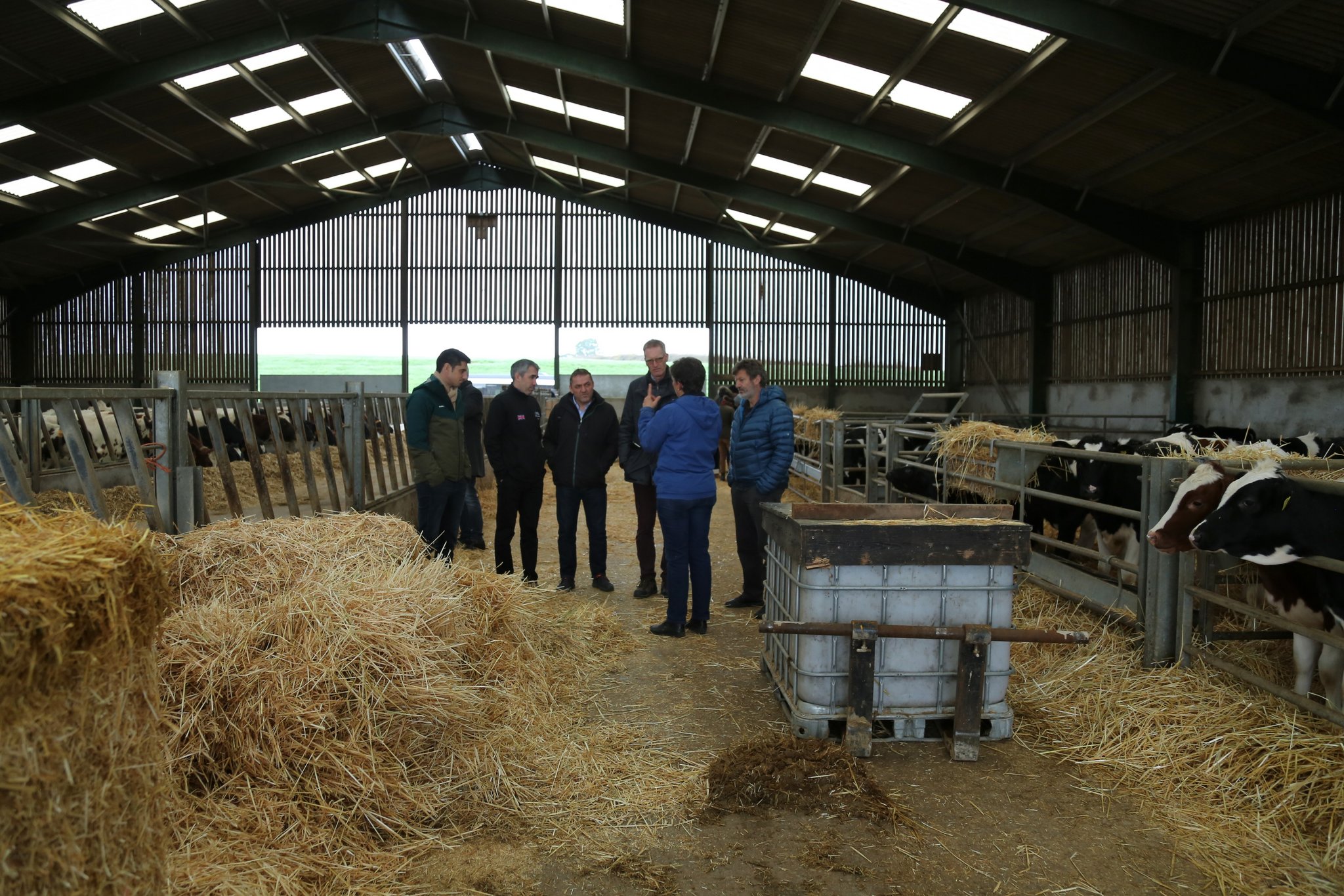 Das harte Los der britischen Farmer