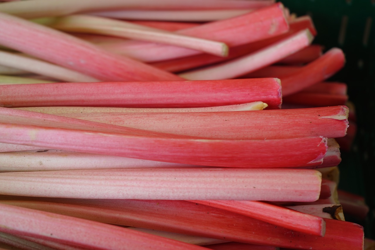 Der Rhabarber ist ein Gemüse, auch wenn man ihn aufgrund des Geschmacks eher für eine Frucht halten könnte. (Bild Pixabay)