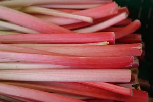 Der Rhabarber ist ein Gemüse, auch wenn man ihn aufgrund des Geschmacks eher für eine Frucht halten könnte. (Bild Pixabay)