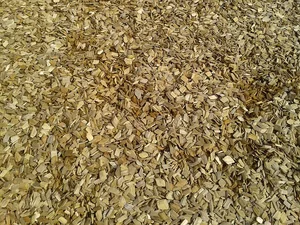 Der Landwirt konnte sich nicht mehr aus den Schnitzeln befreien. (Symbolbild Pixabay)