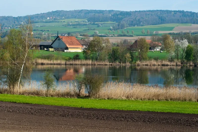 2020 sind Pufferstreifen im Rahmen der risikobasierten Kontrollen besonders im Fokus. (Bild BauZ)
