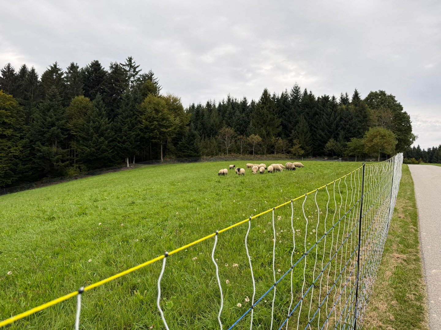 Landwirte können Zaunmaterial und Wärmebildkameras gratis beziehen