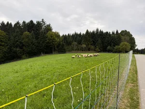 Die Zäune werden an Betriebe im Wolfsgebiet abgegeben. Flatterbänder sorgen für zusätzlichen Schutz für Wildtiere, damit sich keine Rehe usw. im Geflecht verheddern.