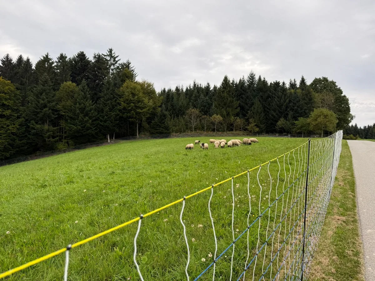 Zaun_1 Landwirte können Zaunmaterial und Wärmebildkameras gratis beziehen