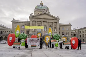 Aus den aufgemalten Gesichtern spricht Schock und Empörung: Vertreter(innen) von Swissaid, Public Eye, Pro Specie Rara und Biorespect übergaben ihre Petition in Begleitung von übergrossem Gemüse.