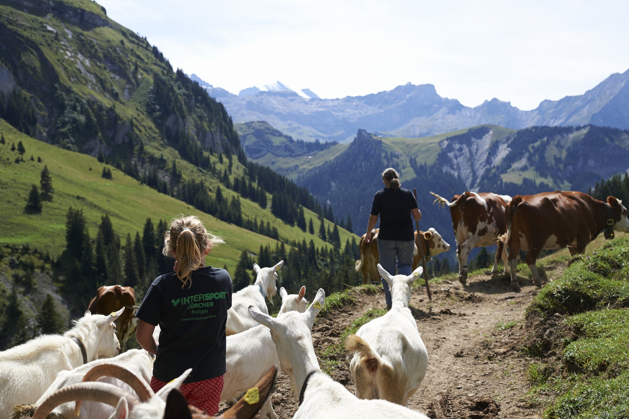 Momentan brauche es viele Freiwillige für das Berner Oberland und die Zentralschweiz. (Bild Franca Pedrazzetti)