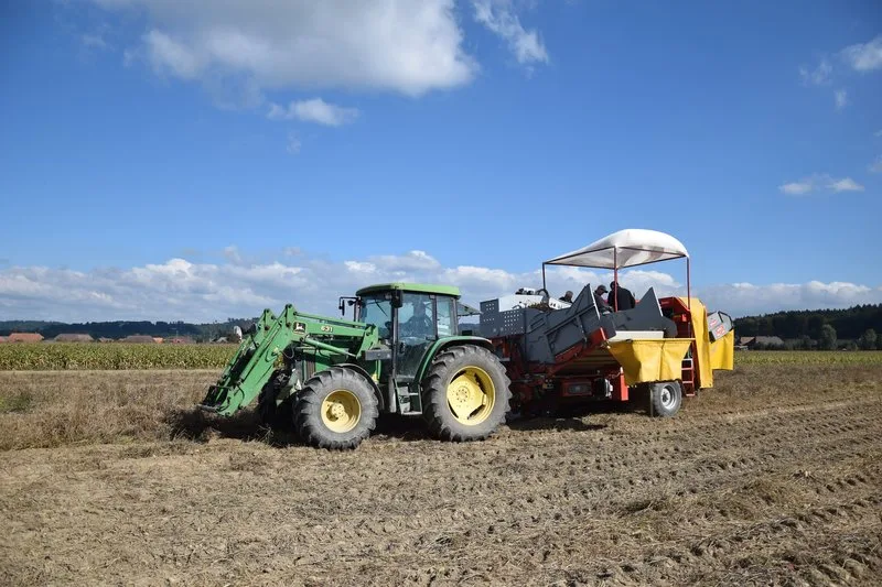 edbef346b9102a00622bfba784df8456fd7bd341 Während bei Getreide, Obst und Gemüse in Deutschland dieses Jahr die Erträge eher klein ausfallen, sind sie bei den Kartoffeln überdurchschnittlich. (Symbolbild BauZ)