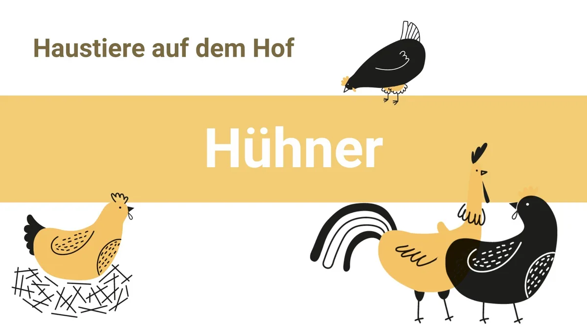 Artikelbilder Hühner sind gerne unter sich