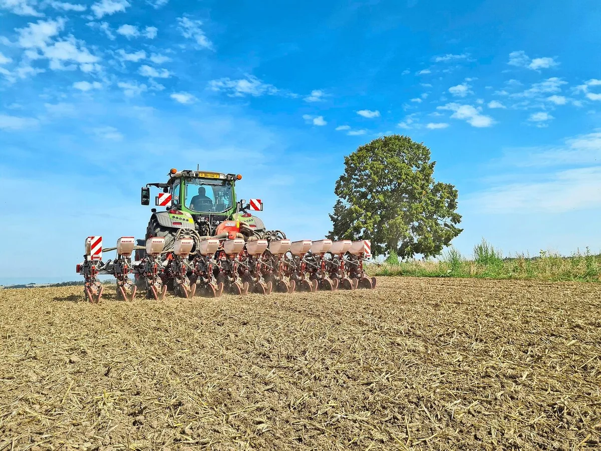 Ein Traktor von hinten fotografiert, wie er den Raps sät.
