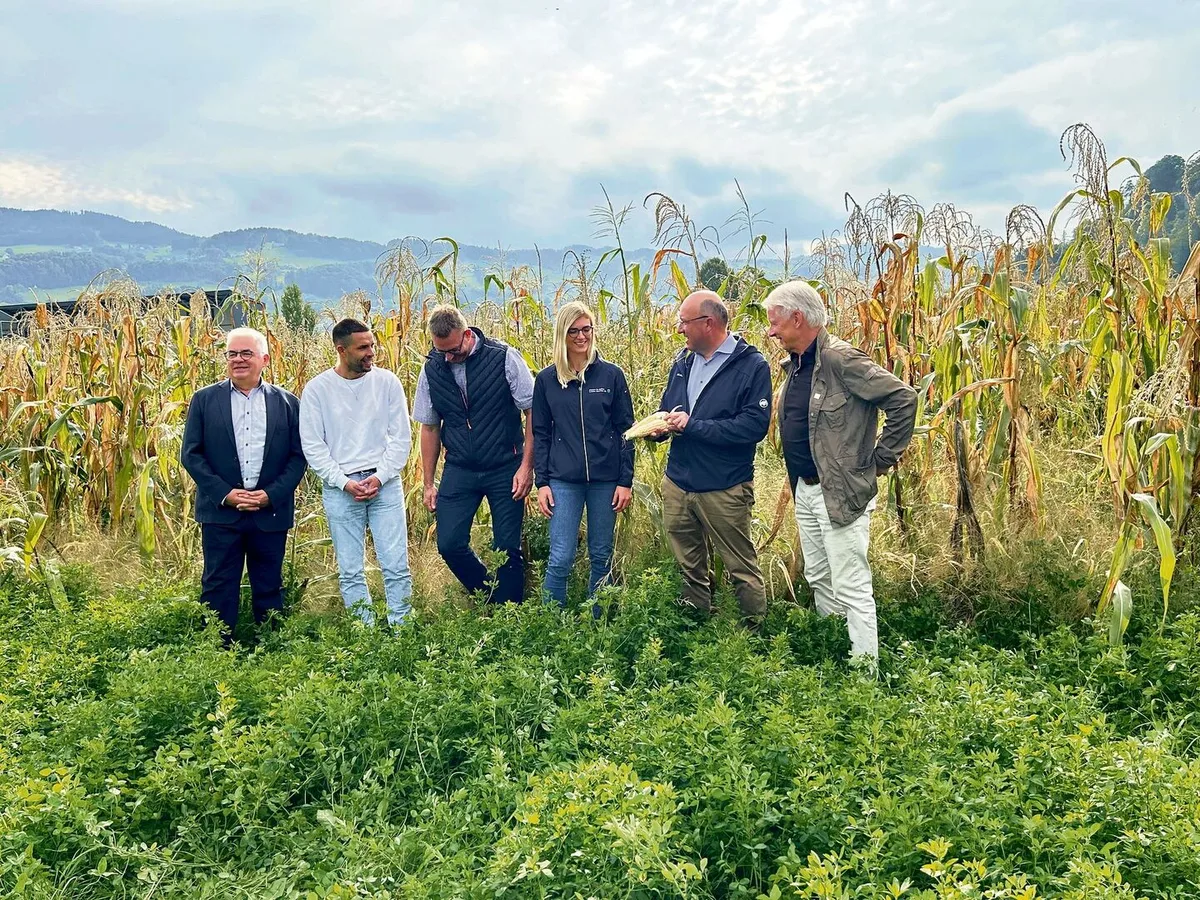 Austausch am Ribelmaisfeld: Klaus Brammertz (Arbeitgeberpräsident Rheintal), Christian Lütolf, Peter Nüesch, Vivienne Oggier, Beat Tinner (Regierungsrat) und Ernst Lütolf (v. l.).