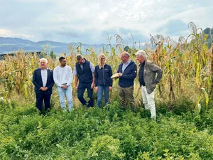 Austausch am Ribelmaisfeld: Klaus Brammertz (Arbeitgeberpräsident Rheintal), Christian Lütolf, Peter Nüesch, Vivienne Oggier, Beat Tinner (Regierungsrat) und Ernst Lütolf (v. l.).