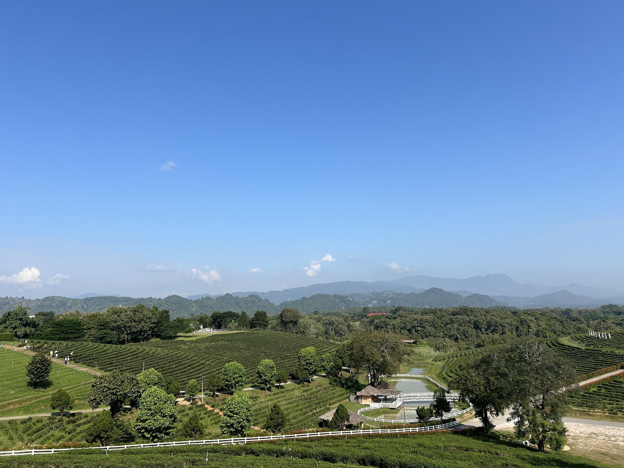 Thailand – Faszinierende Landwirtschaft in Asien