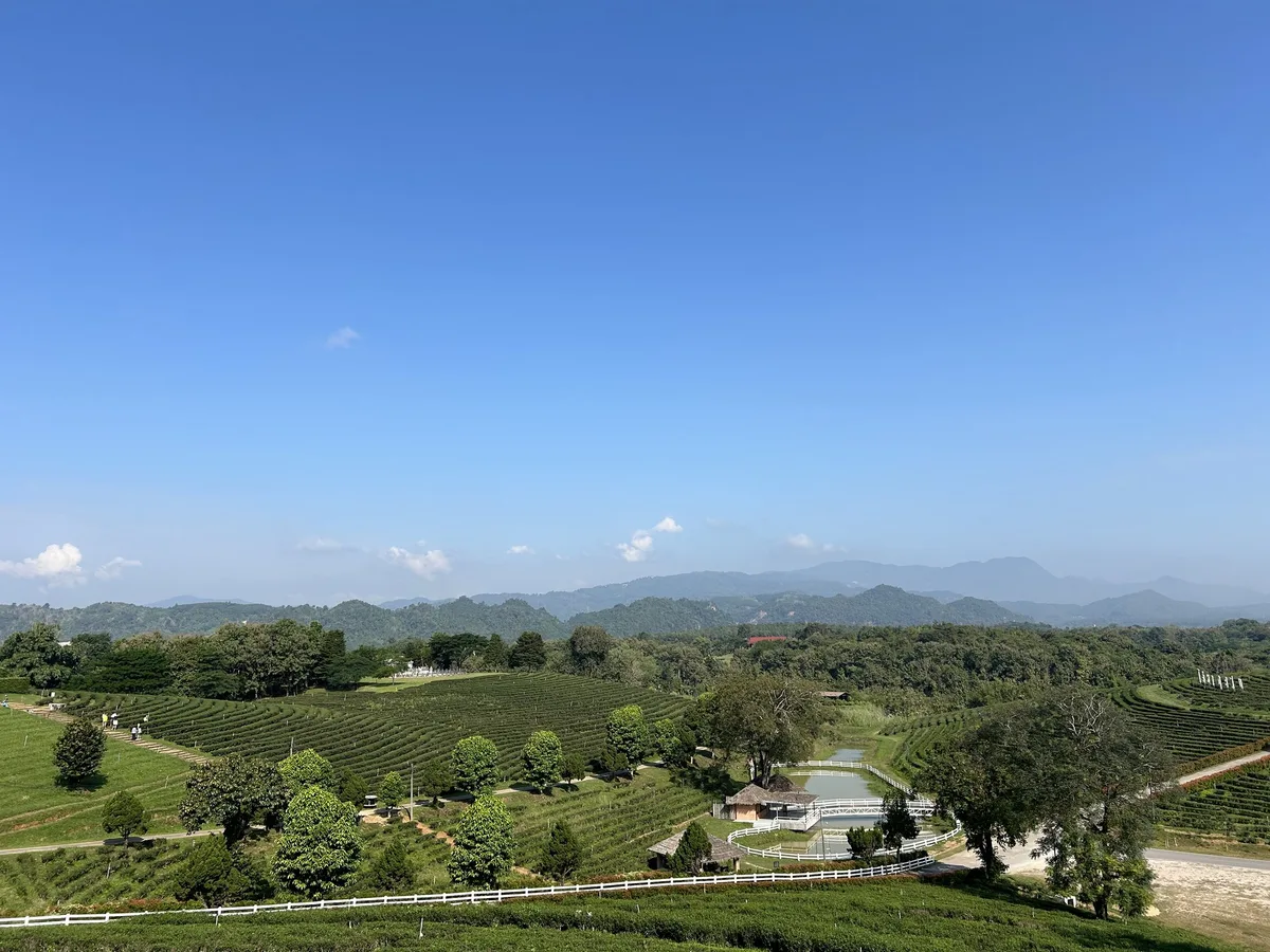 IMG_0659 Thailand – Faszinierende Landwirtschaft in Asien