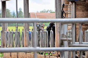 Selbst bewirtschaftende Grundeigentümer dürfen ihre Nutzfläche als temporäres Festgelände anbieten, aber nur, wenn das öffentliche Recht nicht verletzt wird.
