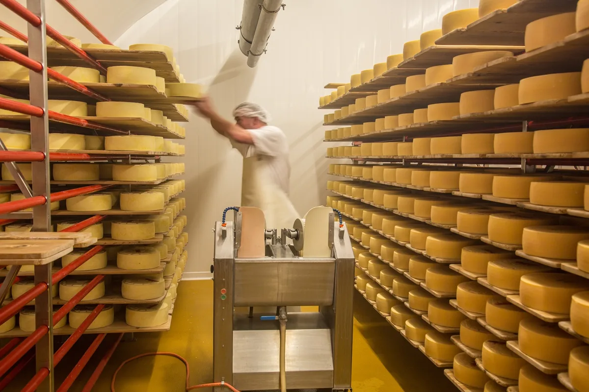 62de7db69b4192aacf3b2ca78437d101a8ee2b6a In der Käserei von Schloss Herdern wird Heumilch der Kühe des Schlossgutes zu verschiednen Milchprodukten und Qualitätskäse verarbeitet. (Bilder Schloss Herdern)