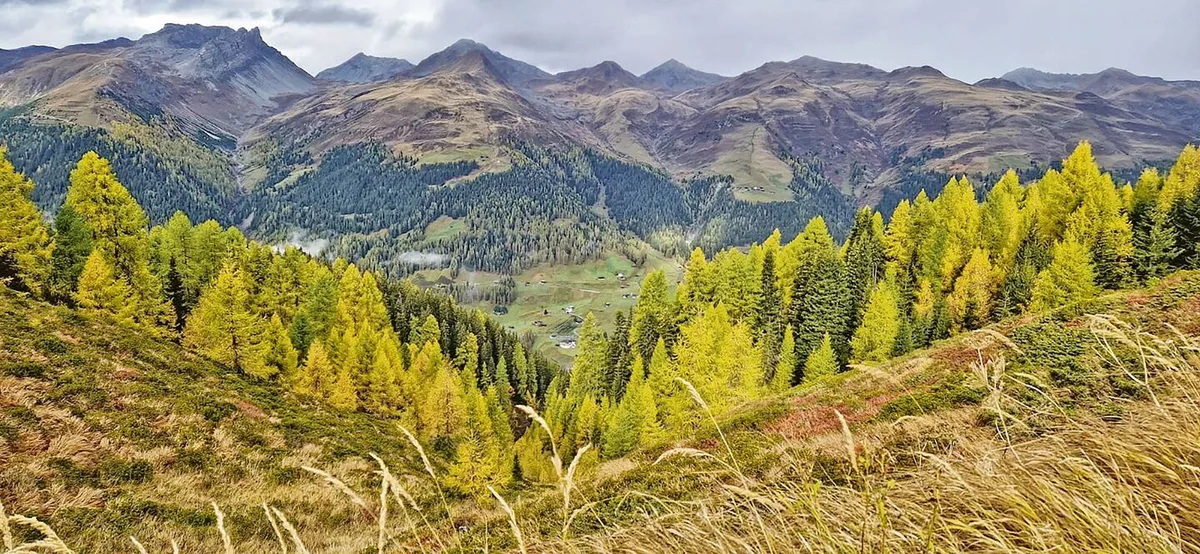 Wirkt sich das Phänomen «El Niño» auch auf die Schweiz aus?